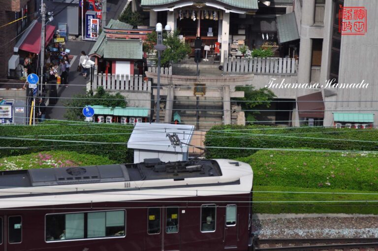 011-012-41-DSC_4298_01